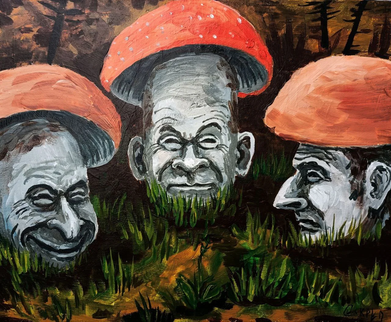 Der Huilo-Röhrling