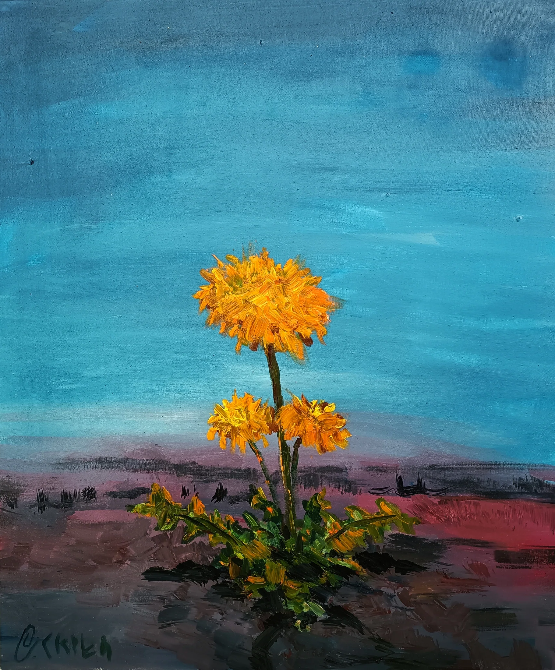 Durch den Asphalt wachsen Blumen
